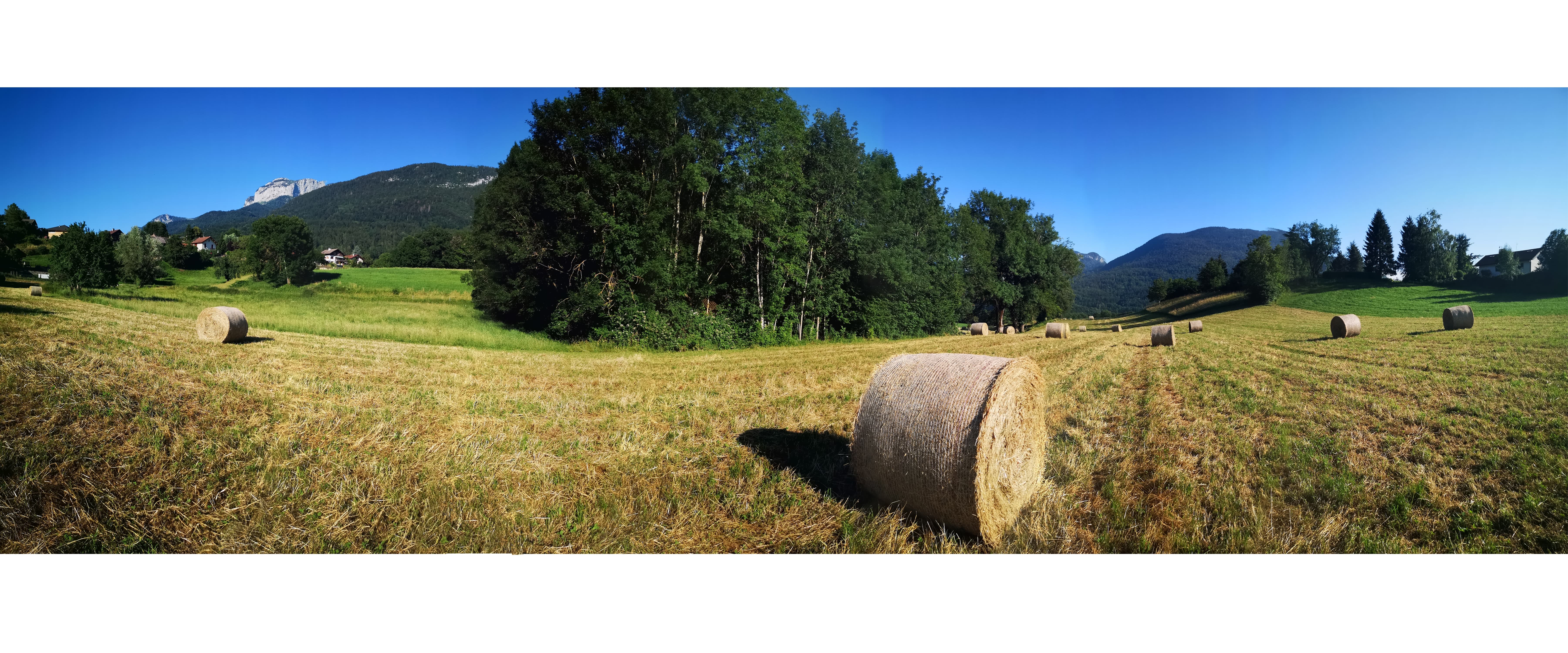 une image de caroussel, photo panoramique d'un champ et de ses bottes de pailles