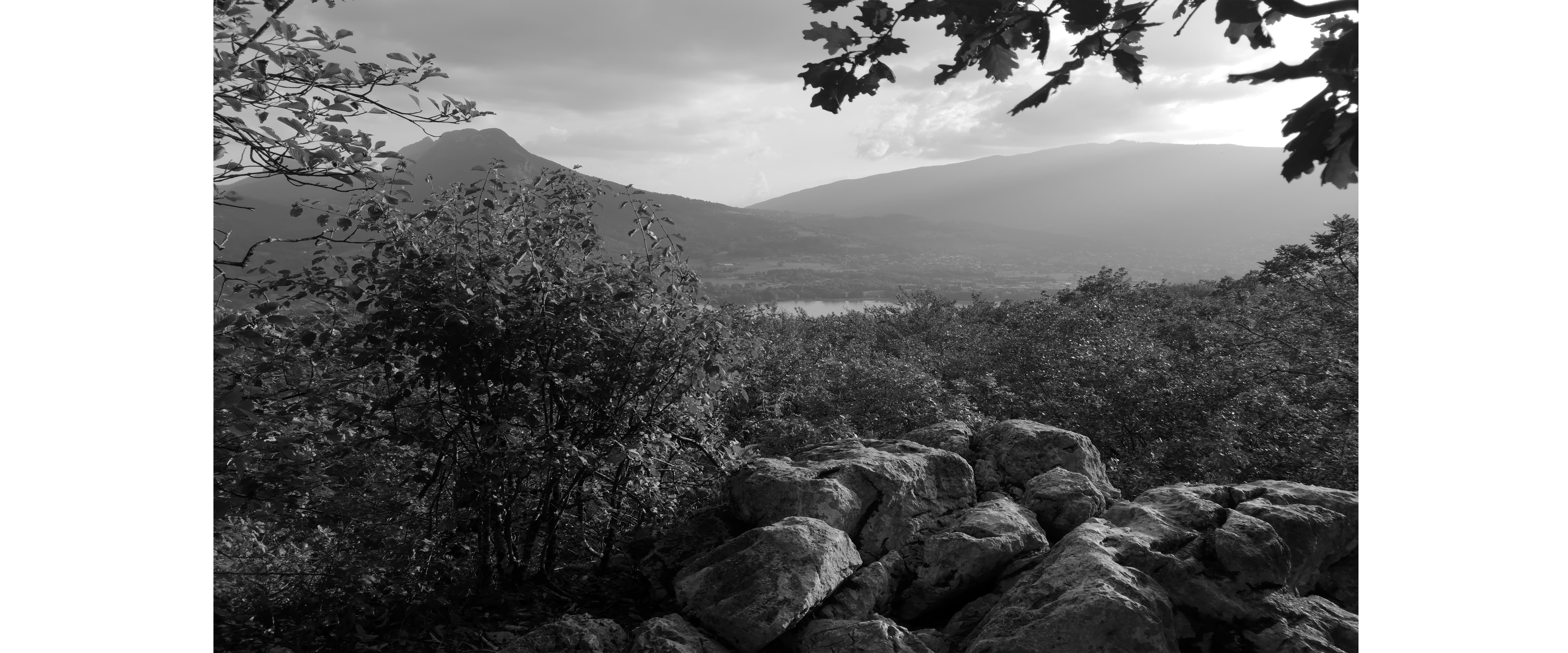 une image de caroussel, photo de roche et foret en noir et blanc